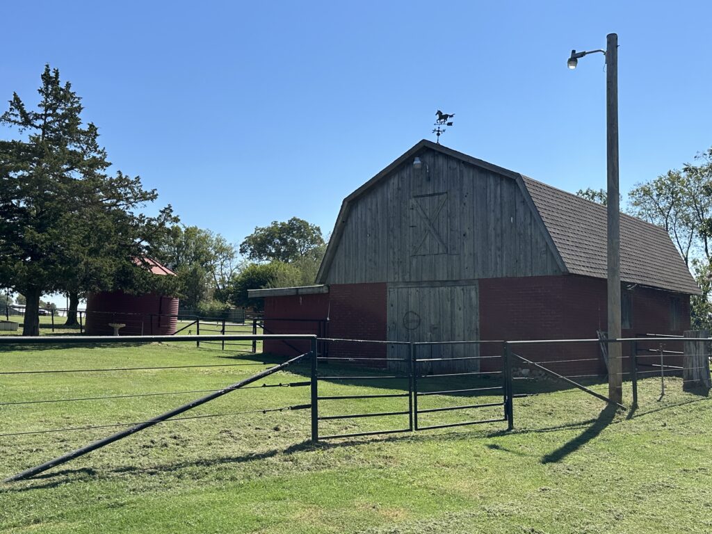 Summer Shot when the Grass is Green