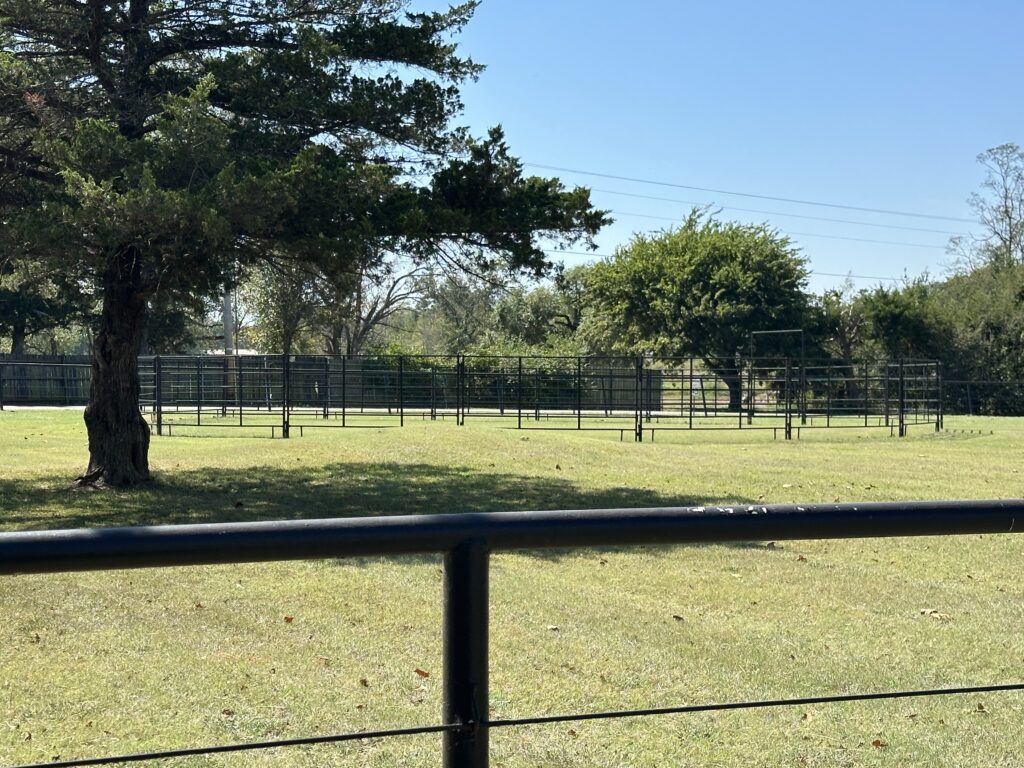 Summer Picture of Round Pen