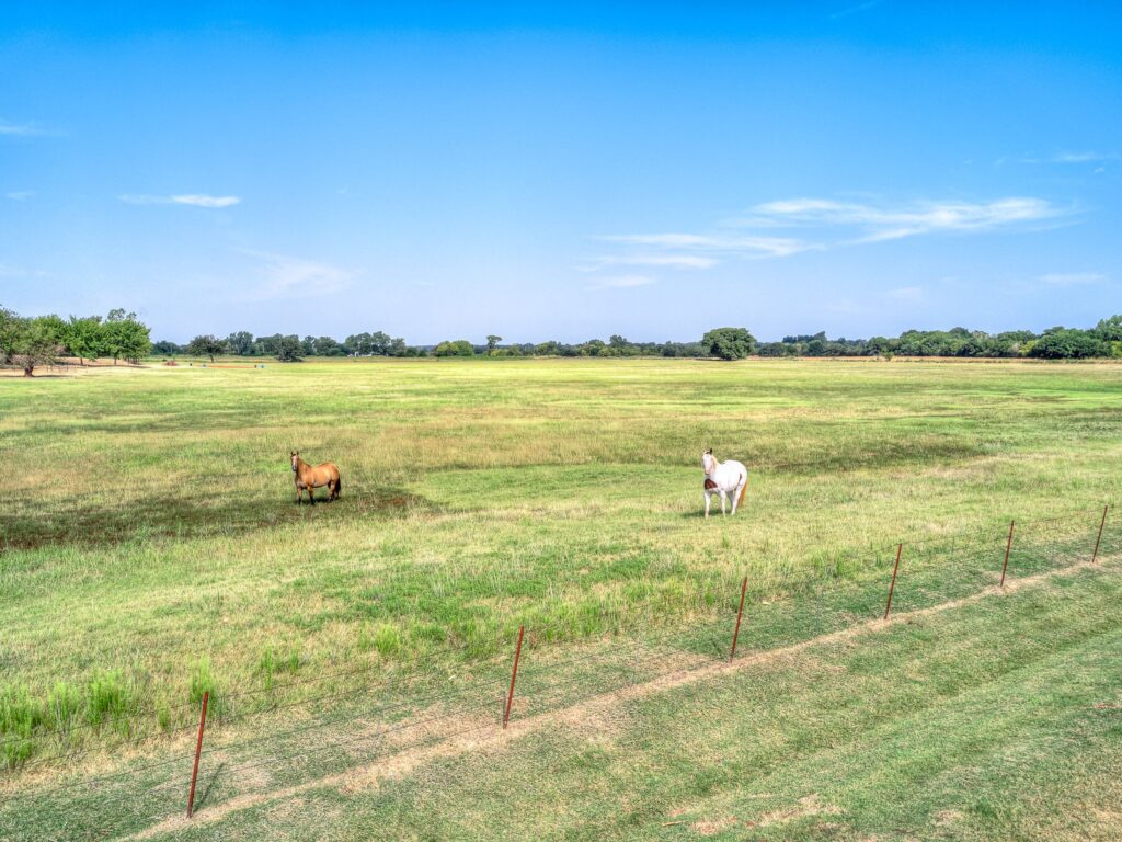Here's the Owners Horses in the Barbed Wire Fences