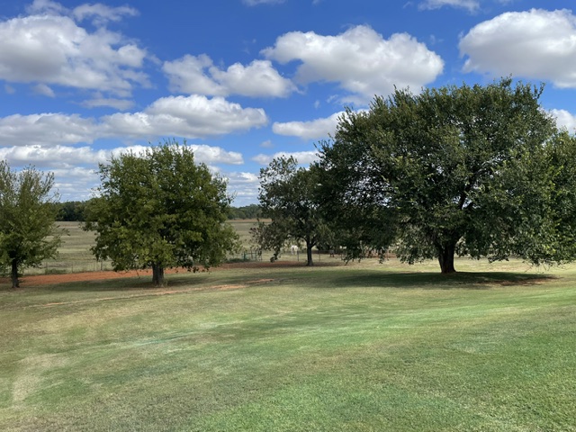 Picture when the grasses were green!
